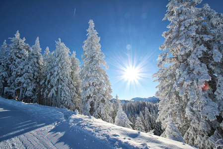 © Alpendorf Bergbahnen AG